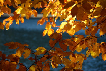Indian summer. Beautiful nature in the Carpathians. Lake Synevyr