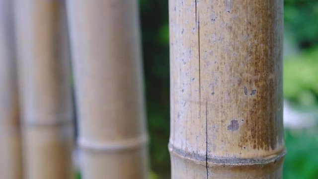 Japan bamboo cane decoration that move with the wind and a female hand. Relaxing scene. 4K video.