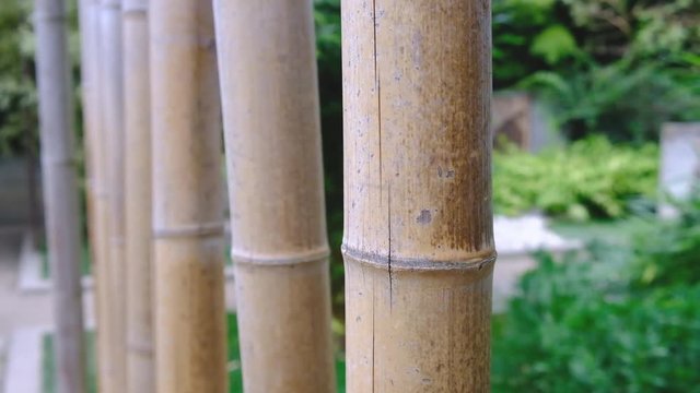 Japan bamboo cane decoration that move with the wind and a female hand. Relaxing scene. 4K video.
