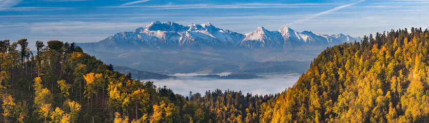 Morning panorama of Tatra mountains over yellow autumn beech forest, Poland