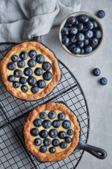 Delicious Blueberry tartlets with vanilla custard cream on grey concrete, top view
