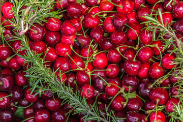 Sweet cherry fruits with rosemary leaves background.