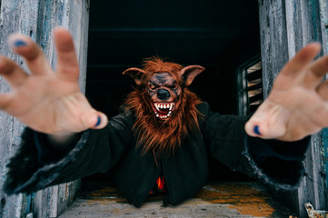 Unknown person with creepy horrible werewolf mask looking out from old wooden ghost house window....