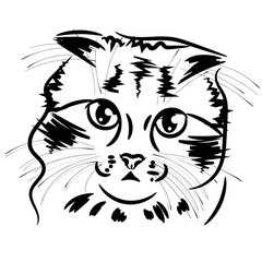 The Vector logo cat for T-shirt design or outwear. Hunting style cat background.Vector