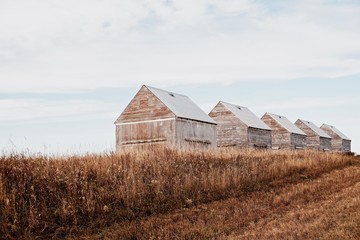 Obraz premium Row of Grain barns