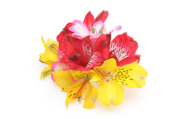 アルストロメリアの花束