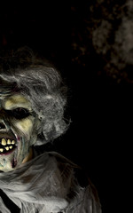 Halloween monster. Undead