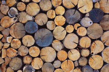 Chopped firewood logs background.
