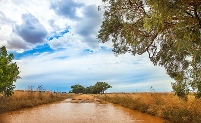 Fototapeta na wymiar Flooded street in the outback at Dubbo Australia