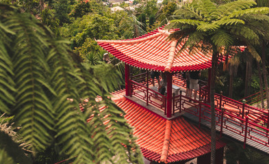 Obraz premium Botanischer Garten Monte Palace auf Madeira