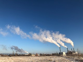 Bright red frozen berries of the forest cranberries sprinkled with pieces of ice