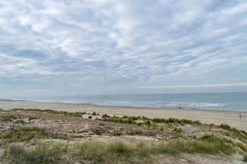 A deserted beach on the North Sea coast in the cold season.  Seascape with calm blue sea, dunes and horizon line. Sand dunes on the coast with seaside grass Ammophila arenaria.