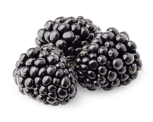 blackberry isolated on white background, clipping path, full depth of field