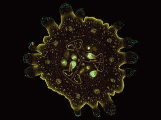 cucumis cucumber fruit - cross section cut under the microscope – microscopic view of plant cells for botanic education