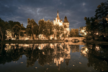 Vajdahunyad castle reflected in the water at night