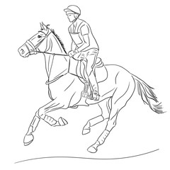 Equestrian event. Horseman cantering on a horse.