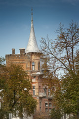 Fototapeta na wymiar The House of Baron Steingel in Kyiv