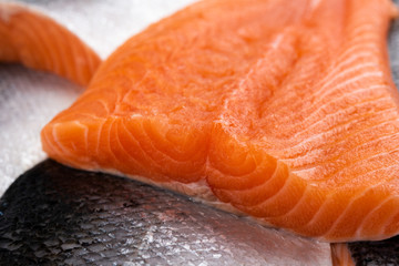 Salmon fish close up