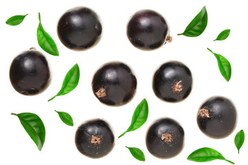 black currant isolated on white background with copy space for your text. Top view. Flat lay pattern