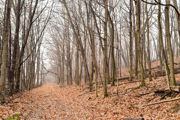 Countryside rural farmland