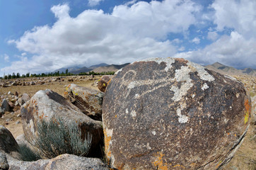 3000 years old ancient petroglyphs,rock paintings depicting mountain goat,Cholpon Ata, Issyk-Kul lake  shore, Kyrgyzstan,Central Asia