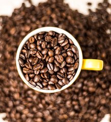 Brown roasted coffee beans, seed on dark background. Espresso dark, aroma, black caffeine drink. Closeup isolated energy mocha, cappuccino ingredient.