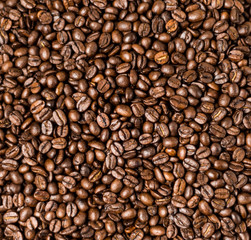 Fototapeta premium Brązowe palone ziarna kawy, nasiona na ciemnym tle. Ciemne espresso, aromatyczny napój z czarną kofeiną. Zbliżenie na białym tle mokka energii, składnik cappuccino.