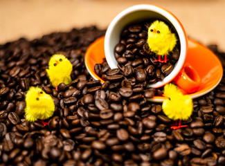 Brown roasted coffee beans, seed on dark background. Espresso dark, aroma, black caffeine drink. Closeup isolated energy mocha, cappuccino ingredient.