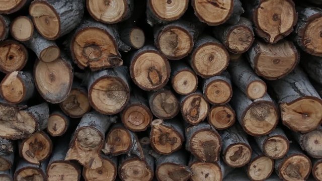 Firewood