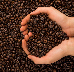 Brown roasted coffee beans, seed on dark background. Espresso dark, aroma, black caffeine drink. Closeup isolated energy mocha, cappuccino ingredient.
