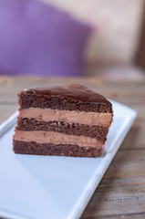 Delicious praga cake on white plate