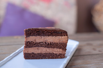 Delicious praga cake on white plate