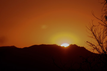 Fototapeta premium atardecer