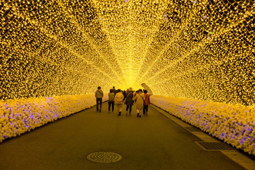 Light tunnel at Nabana no sato winter illumination, Japan