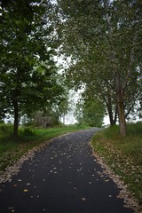 Paved bike path through the park