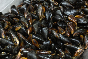 Close-up heap of raw fresh mussels on counter at local fish market. Heap of Nutritious shellfish mollusk at seafood store.