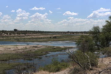 Landscape at Boteti River, Makgadikgadi National Park, Botswana, Africa