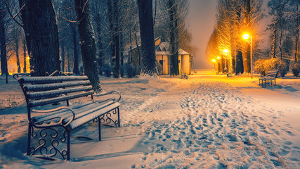 Winter evening in a central park.