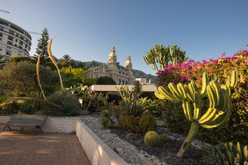 Monaco © Maciej Nowicki