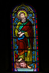 Obraz na płótnie Canvas Stained Glass in Monaco Cathedral - Saint Mark the Evangelist and a Lion