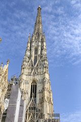 Fototapeta premium St Stephens Cathedral in Vienna, Austria