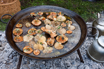 COCINANDO NÍSCALOS EN EL CAMPO