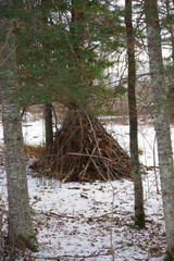 Shelter in the woods