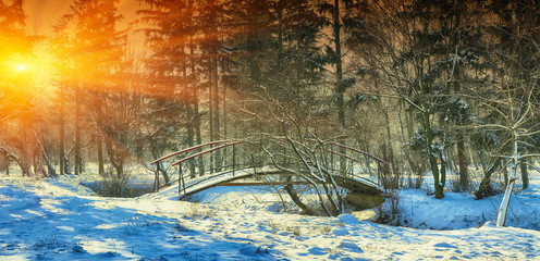 Winter frosty trees and old snowy bridge in the winter park