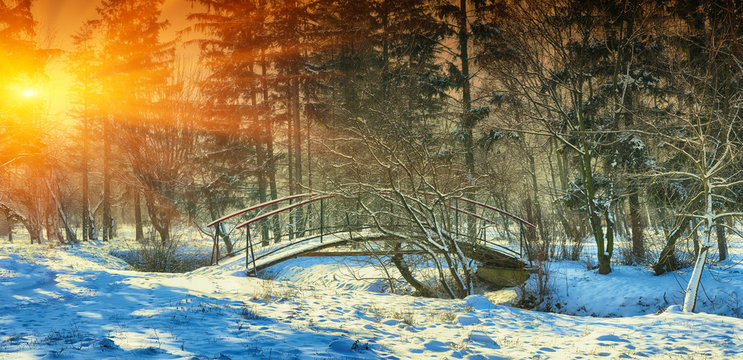 Winter Frosty Trees And Old Snowy Bridge In The Winter Park