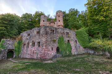 Fototapeta na wymiar Die Burg Schadeck, auch Schwalbennest genannt, bei Neckarsteinach