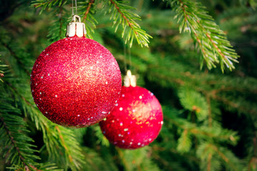 Red balls on spruce, part of the Christmas tree with Christmas decorations