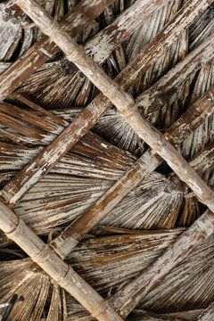Cuban bohio roof