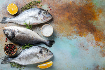 Three fresh raw Dorado fish with spices and olive oil on a blue rusty table. Top view with copy. Flat lay