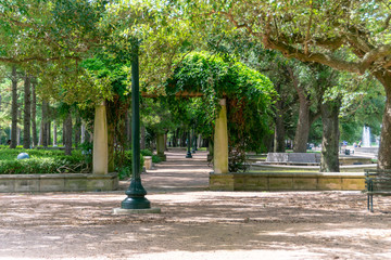Obraz premium alley in the park